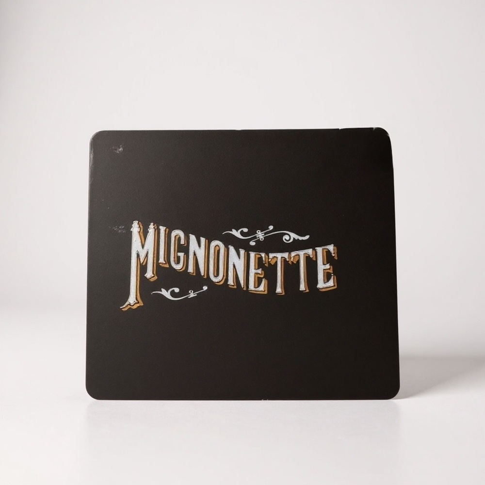 AVETT BROTHERS MIGNONETTE CD retro music 2004 folk bluegrass country band disc